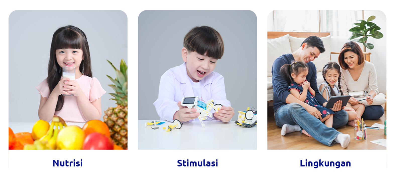 Nutrisi, Stimulasi dan Lingkungan