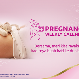 Pregnancy Weekly Calendar