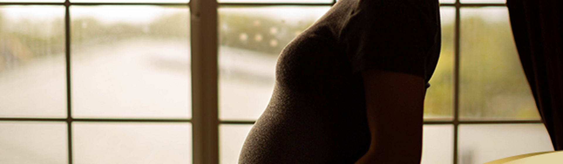 Kehamilan Minggu Ke-15 – Trimester 2